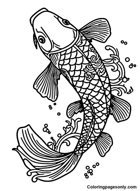 koi fish drawing color|17 Koi Fish Coloring Pages .